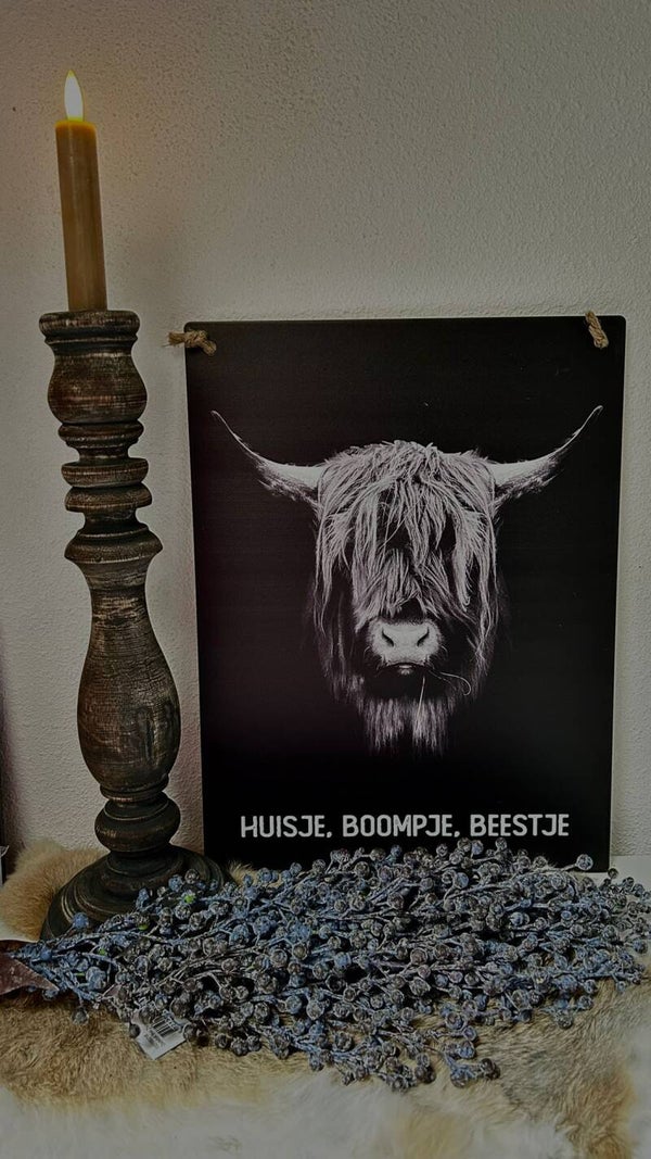 ijzeren wanddecoratie bord (groot)