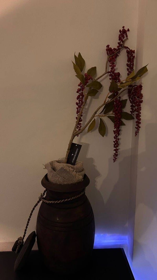 Kunst Tak Phytolacca (donker-rood)