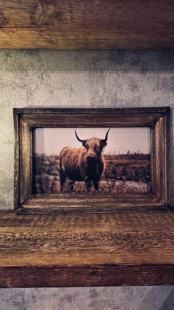 Schilderij met houten lijst (hooglander)