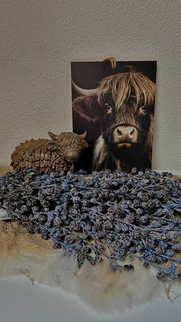 Decoratie bordje (Hooglander jong)