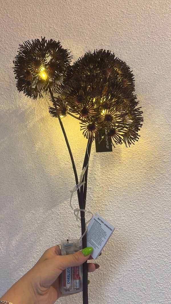 Kunst Bloem Heracleum Countryfield Led (bruin)