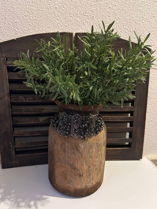 Bosje rozemarijn groen