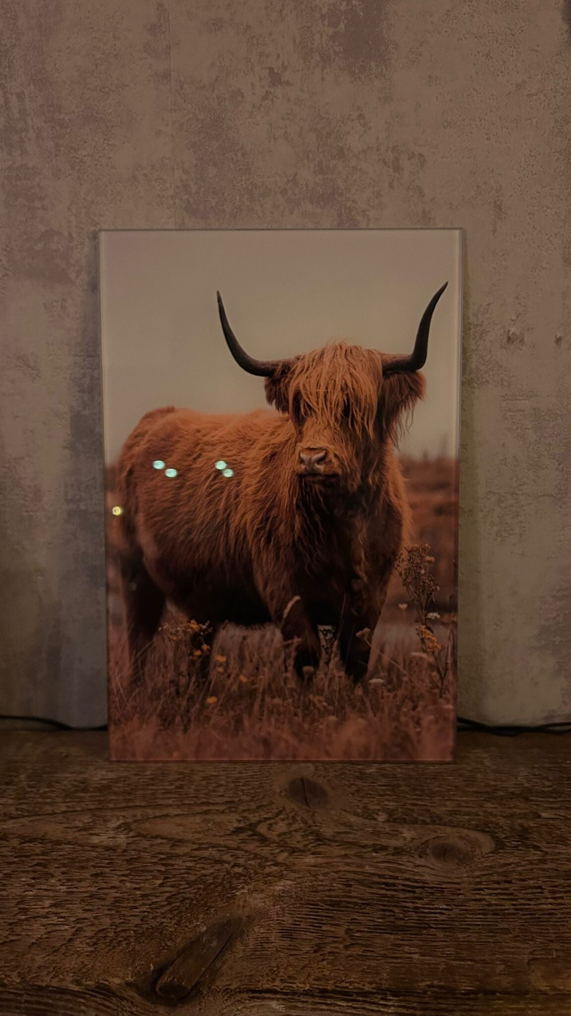 Glazen schilderij (hooglander)