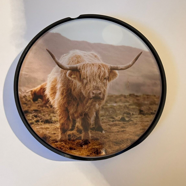 Glazen onderzetters (hooglander)