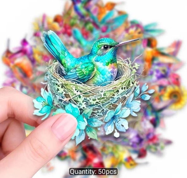 Transparent Backing Vibrant Bird Stickers (50)