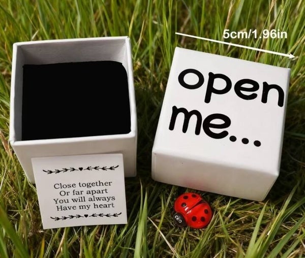 Ladybug Small Gift Box