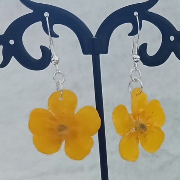 Boucles d'oreilles bouton d'or