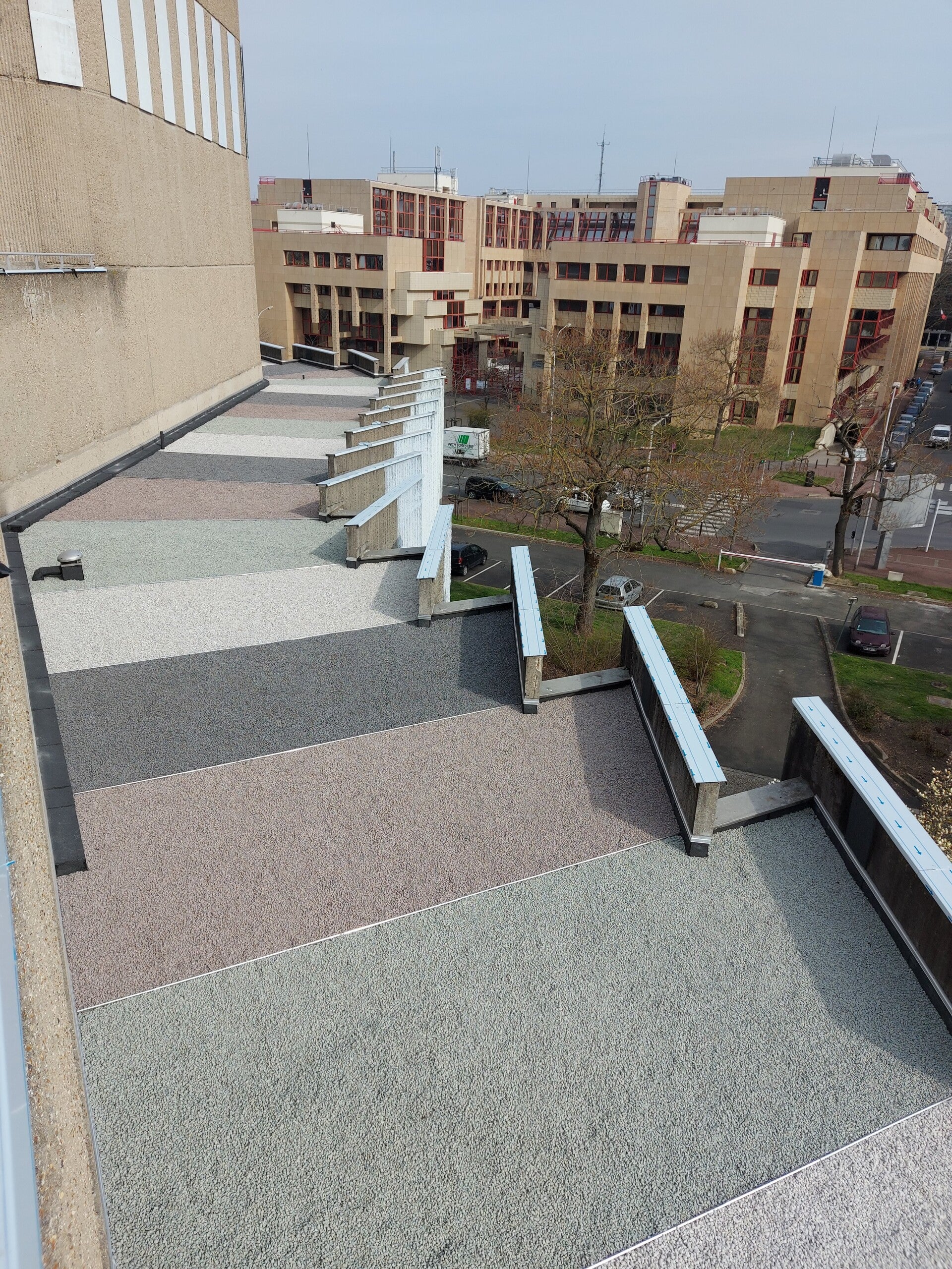 20210310_134746-standard.jpg