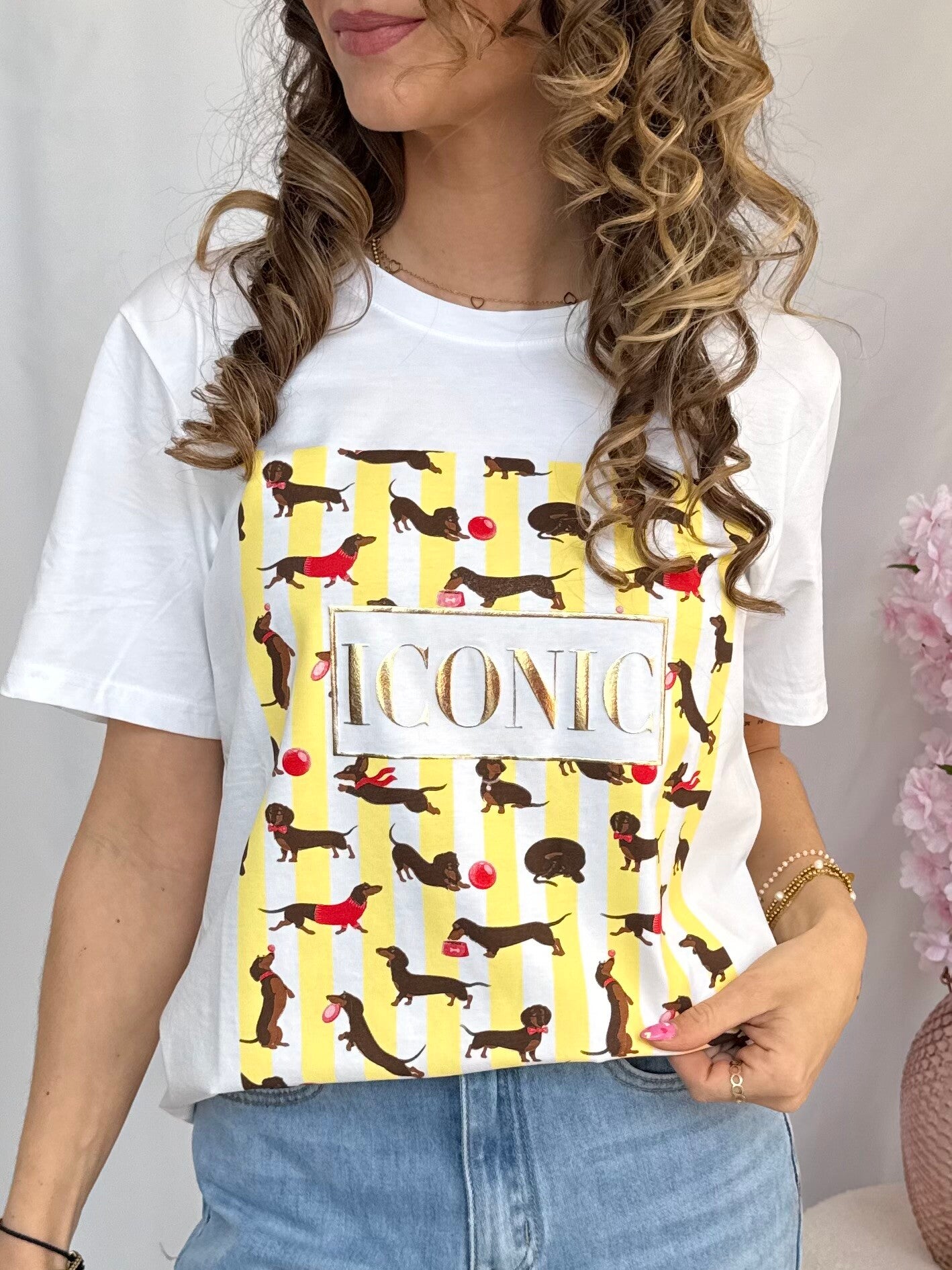 T-shirt: Teckel Iconic