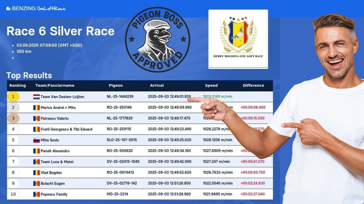 Derby Moldova, One Loft Race
