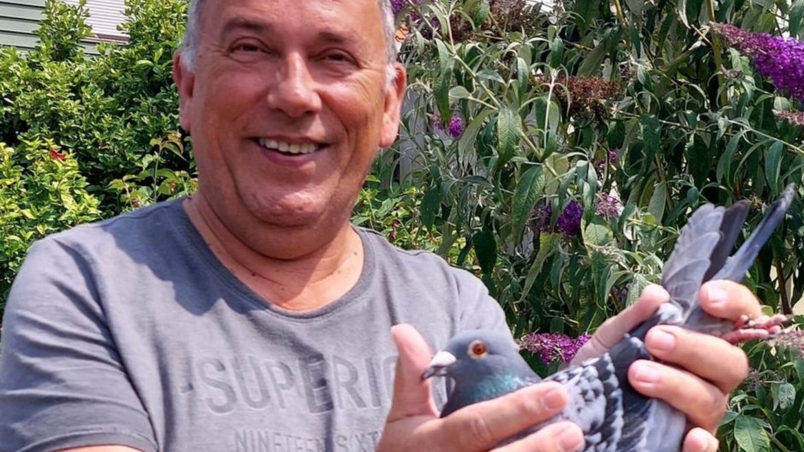 Geert Jan Meuwese Racing Pigeons