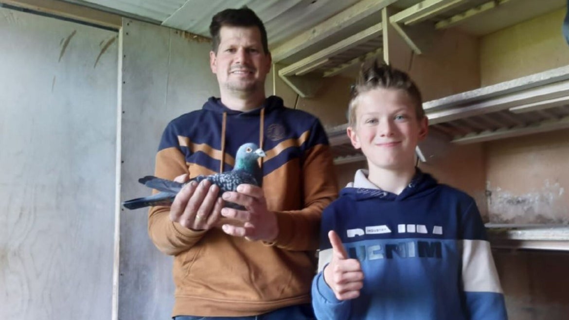 De Vries Racing Pigeons