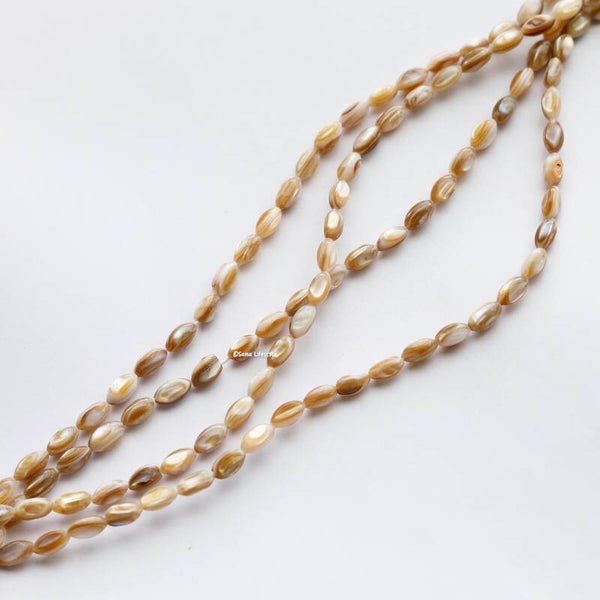 Schelp - bruin gemêleerde schelp tonnetjes 9x5mm | per streng