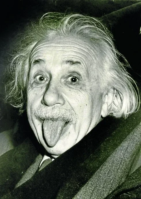 Camiseta estampada de manga corta historia de la hamburguesa