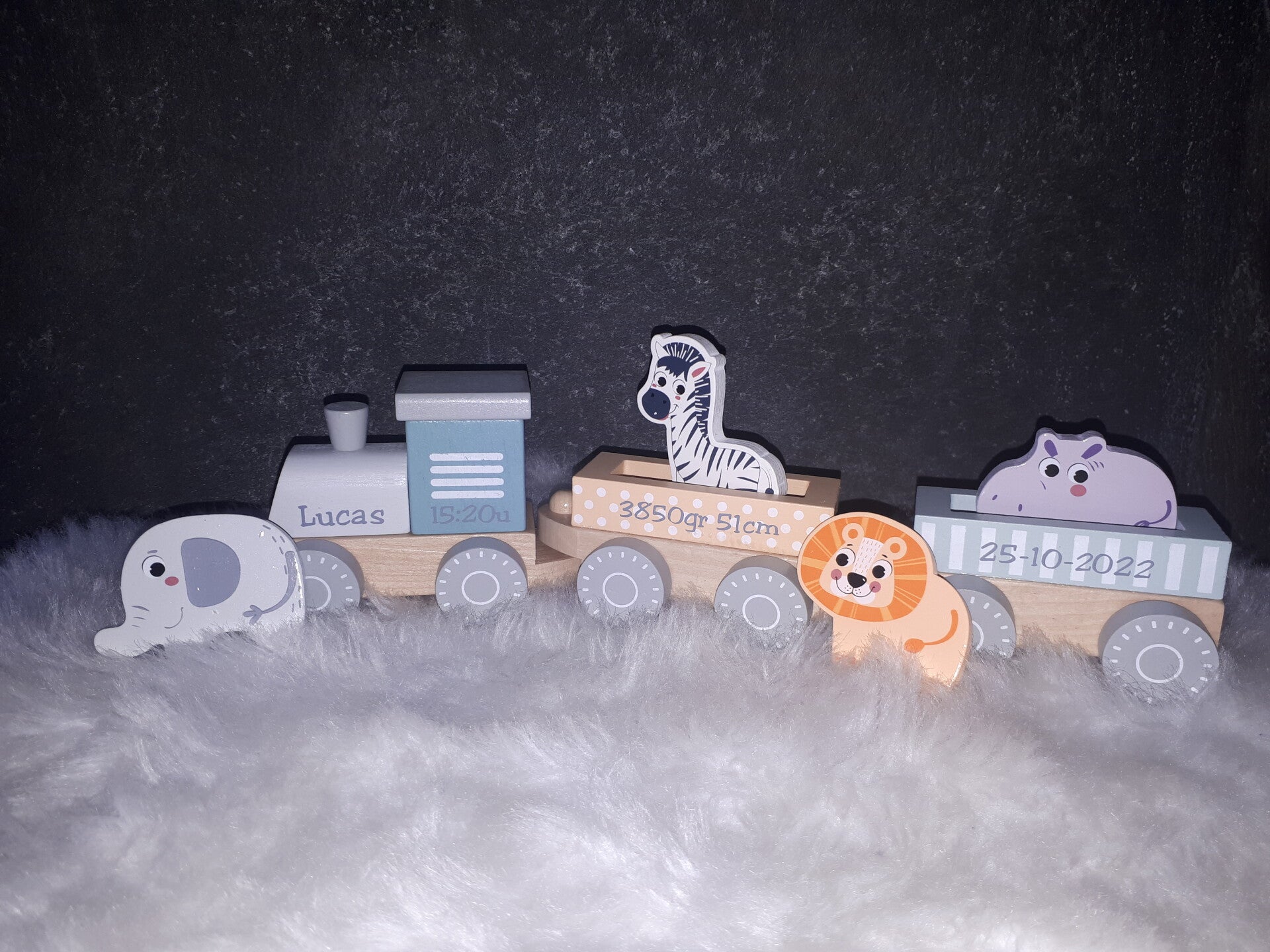 Houten trein met jungle dieren pastel