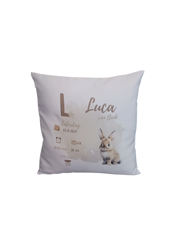 Geboorte kussen konijn