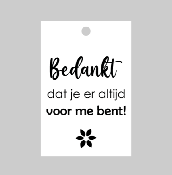 Mini label kraft 'Bedankt'
