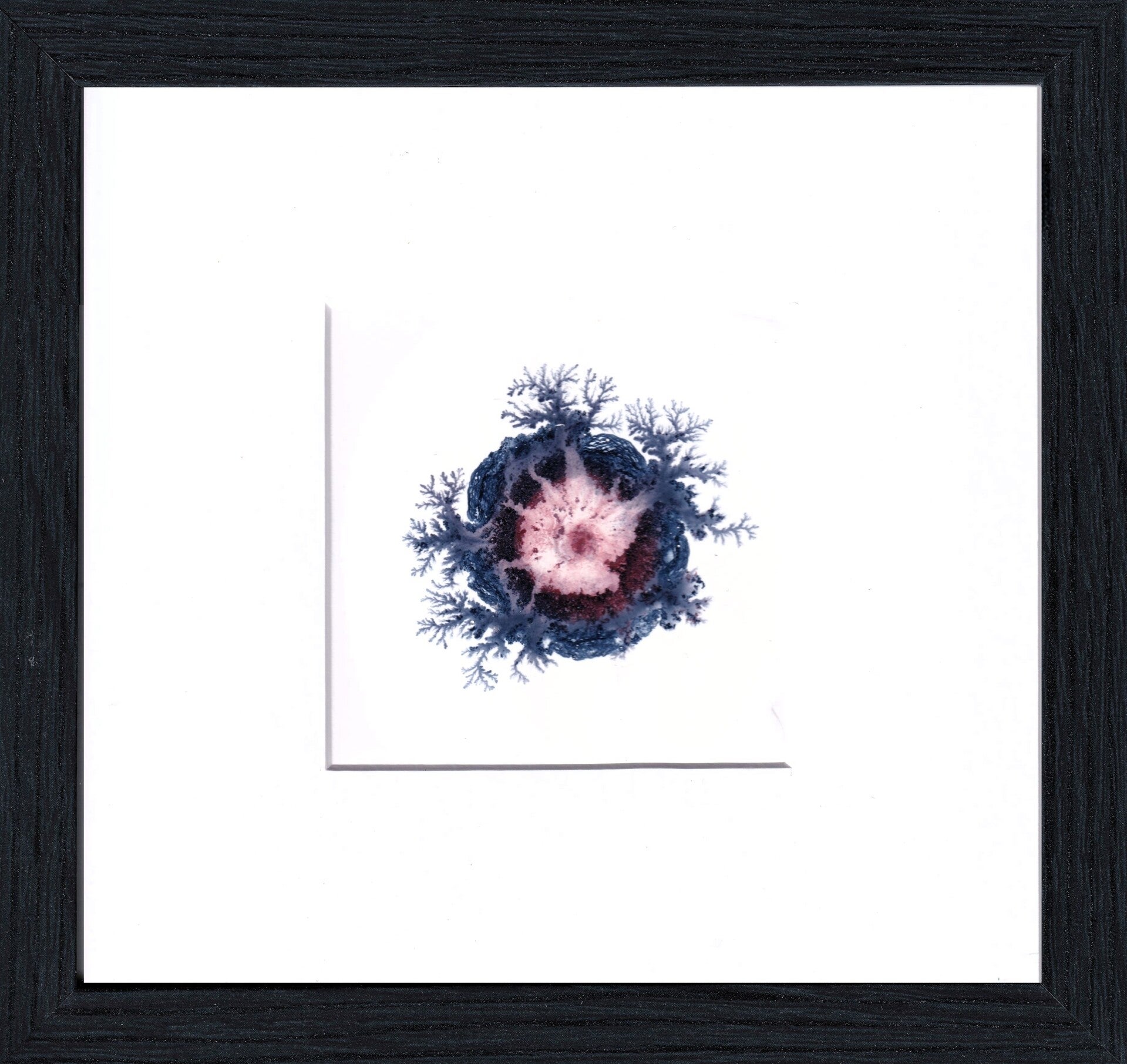 Emergentie 8