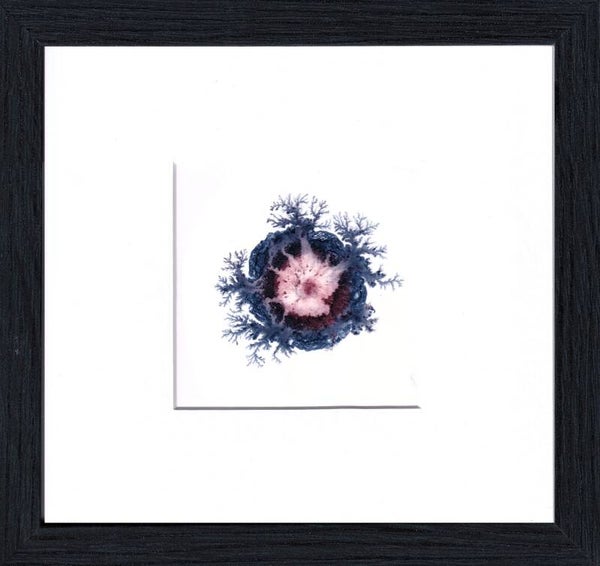 Emergentie 8