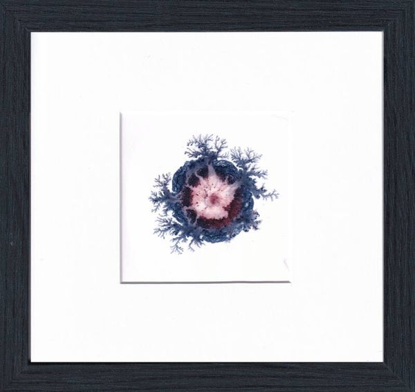 Emergentie 8