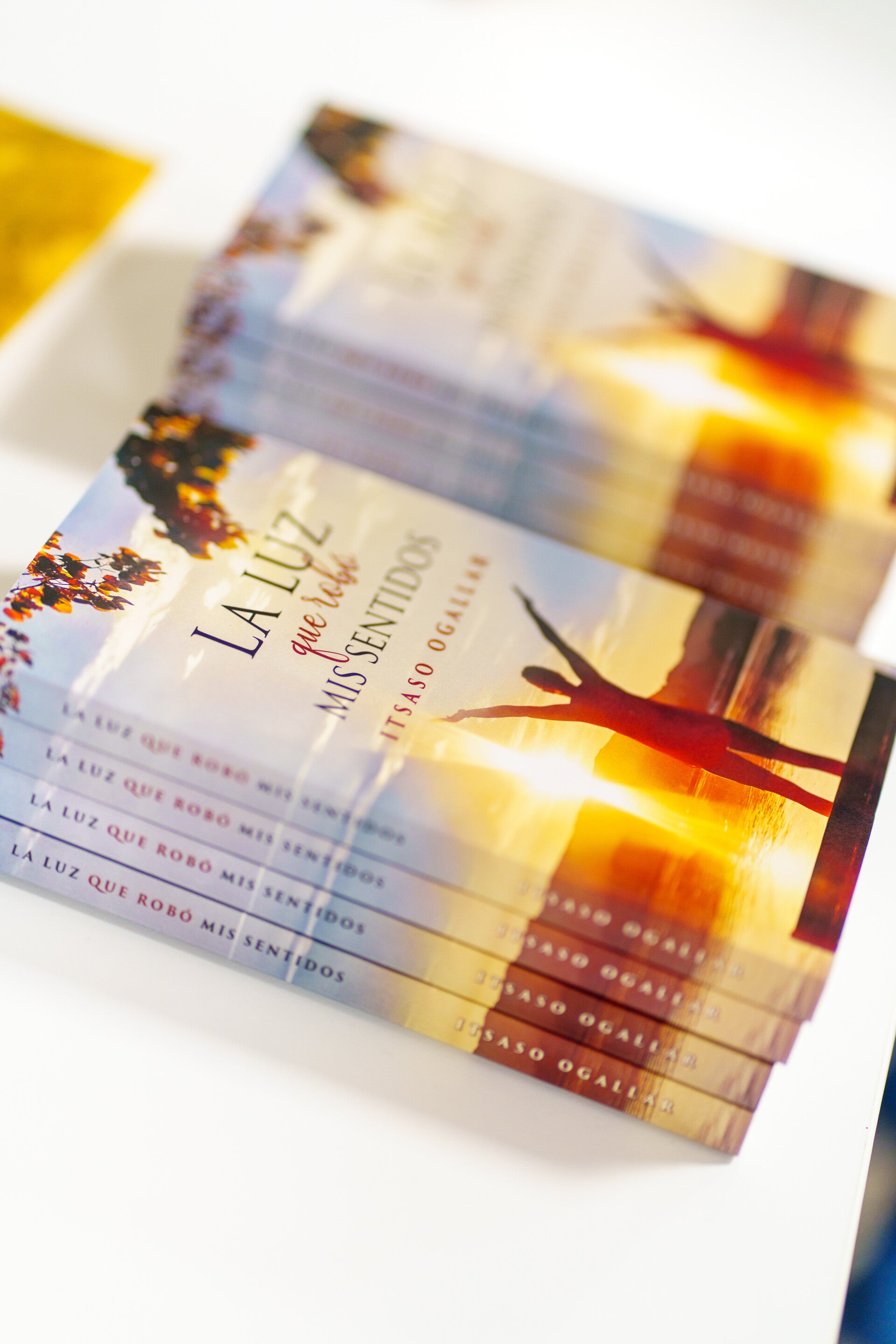 La luz que robó mis sentidos, libro poesia