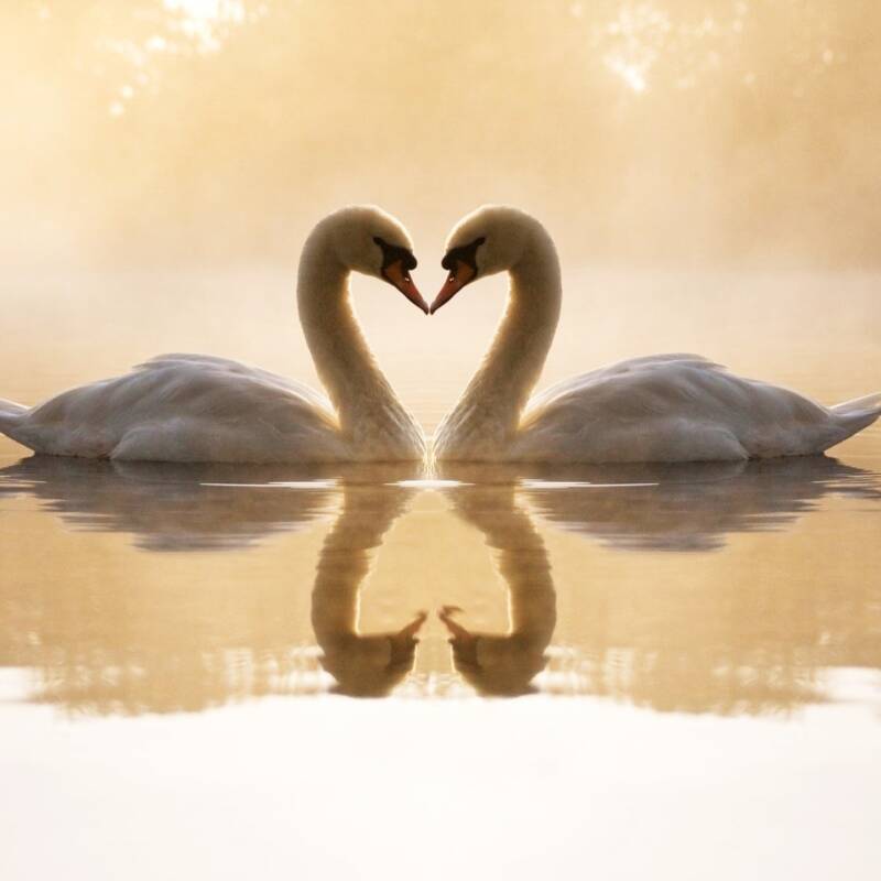 Blogbericht Leneke van der Velde Yoga Centrum Veenendaal