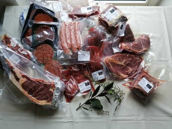 Hereford grasgevoerde koe juli