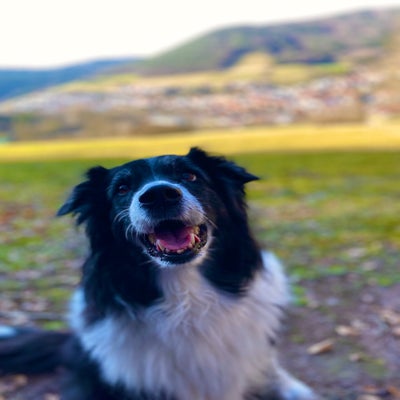 img_7742jpeg.jpeg