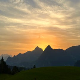 9c0b6acc-4f45-4be9-81c3-e70603ef14ba.jpeg
