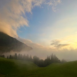 49c39cc4-cb61-4c6e-8a73-30765bc75a1d.jpeg