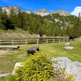 665a4995-e8f7-4abc-9968-7aa5b5690f98.jpeg