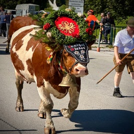 bc197756-6f19-457c-8033-242cf7033ee2.jpeg