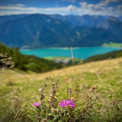 721eb21b-fd96-4f08-b8ff-04a5cc4e388f.jpeg