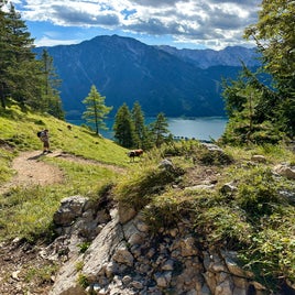 f099dccb-ab0f-4774-a7db-a155b96db04e.jpeg
