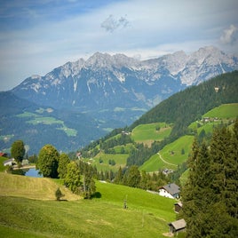 95a04602-c95e-4ada-9538-0ba7884477bf.jpeg