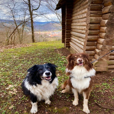 img_0641jpeg.jpeg