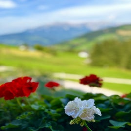 aae9d097-072b-46b8-b41c-c7ad7a59d080.jpeg