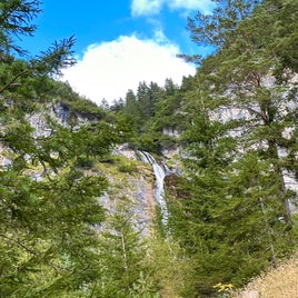 2eb448cb-3ccb-48ab-bb5d-69d0ae7437e0.jpeg