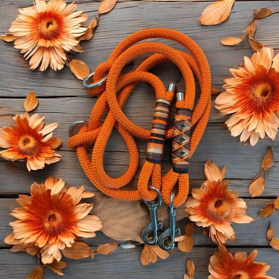 Hundeleine Modell "Blazine Amber"