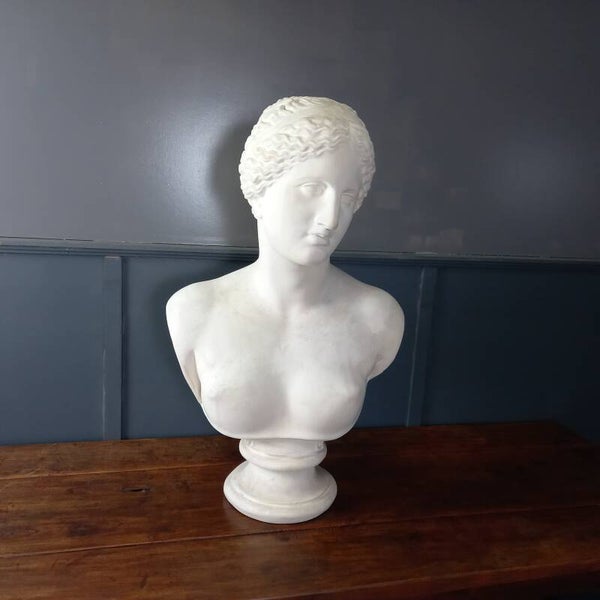 Grote buste Venus van Milo