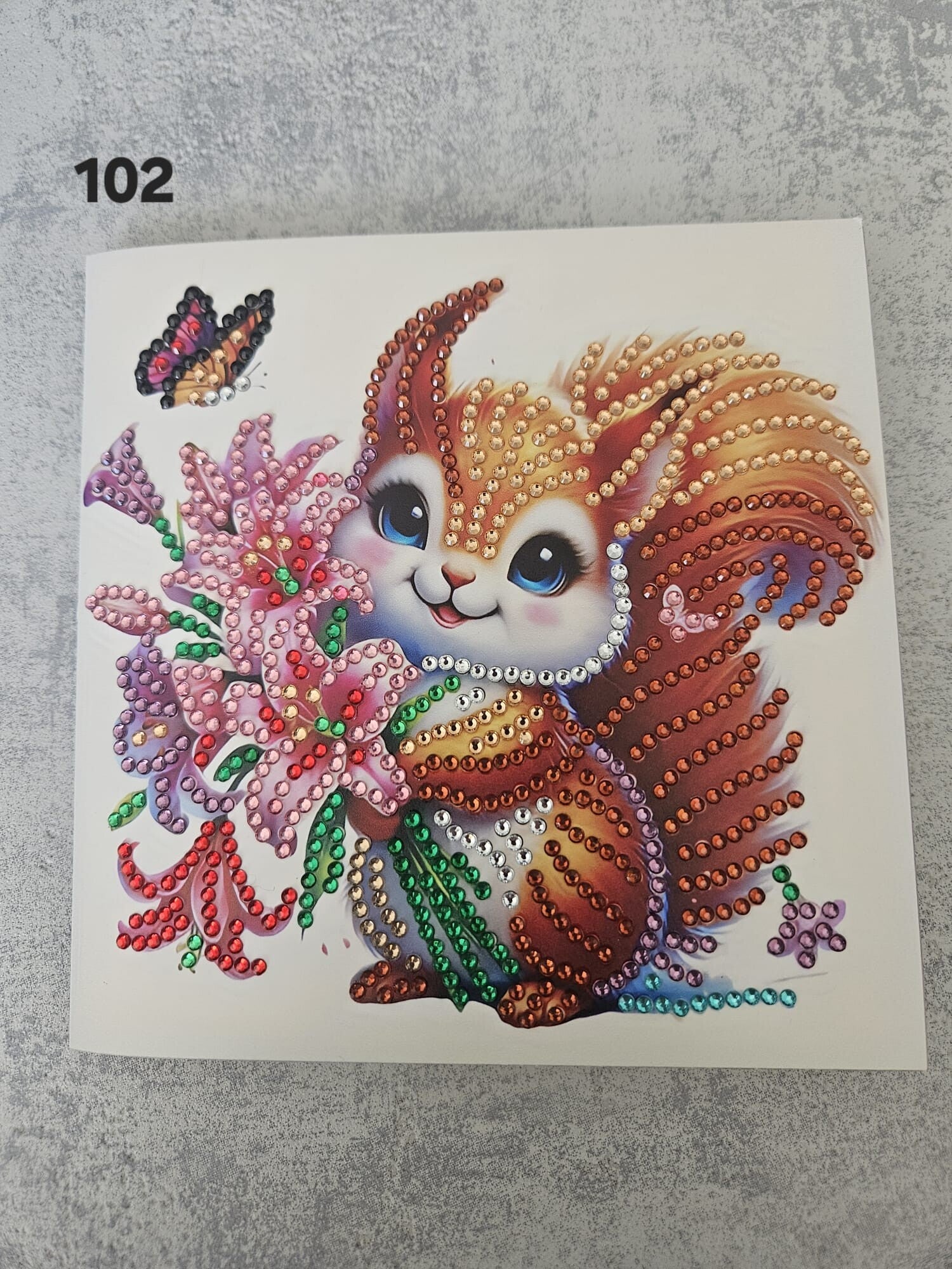 Kaart Dieren | 102