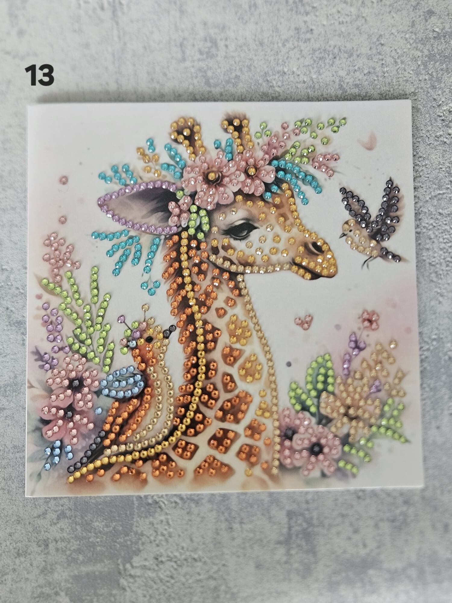 Kaart Dieren | 13
