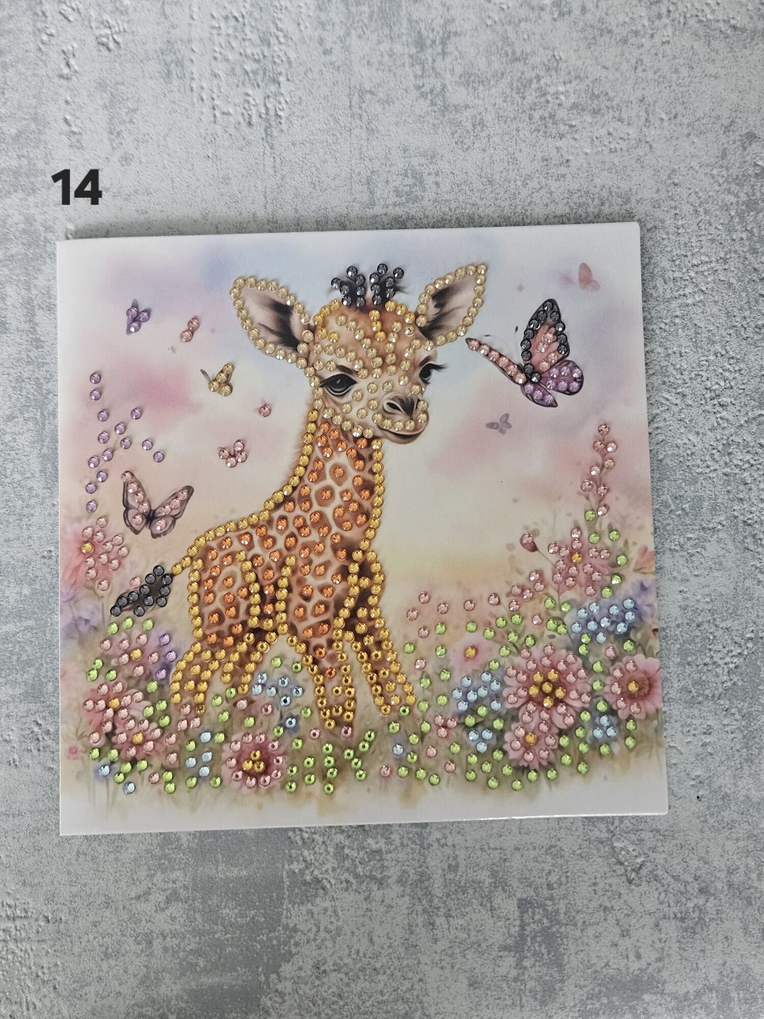 Kaart Dieren | 14