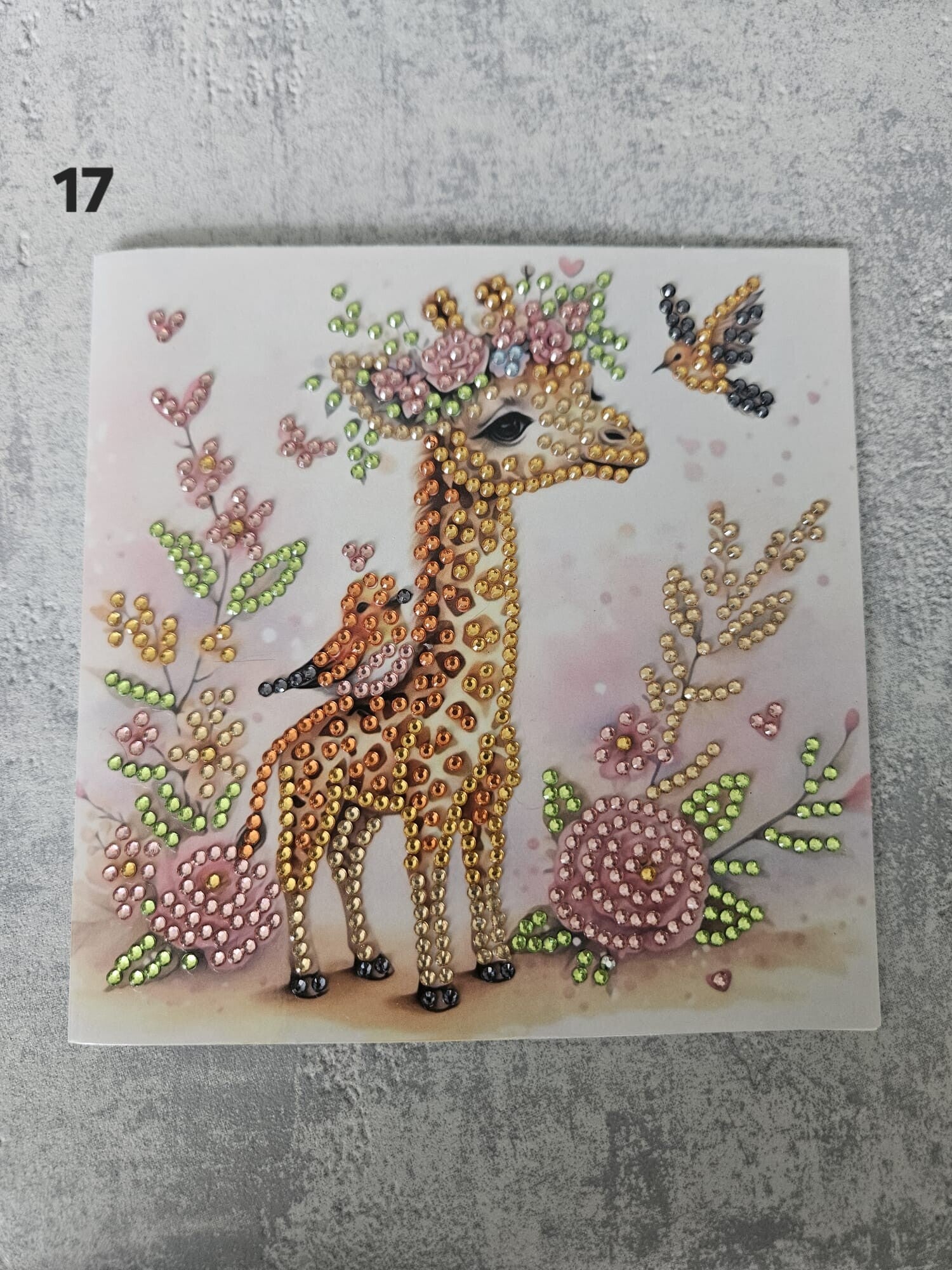 Kaart Dieren | 17