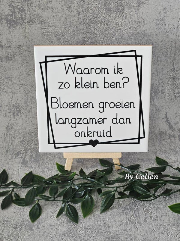 Tegeltje  | Waarom ik zo klein ben?
