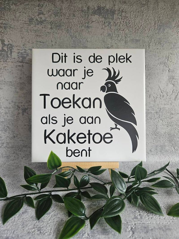 Tegeltje | Dit is de plek waar je naar Toekan