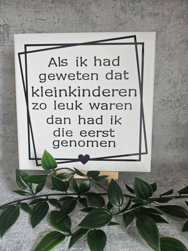 Tegeltje | Als ik had geweten dat kleinkinderen zo leuk waren