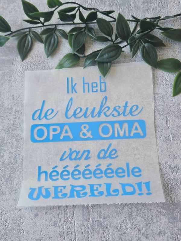 Strijkapplicatie | Ik heb de leukste opa en oma