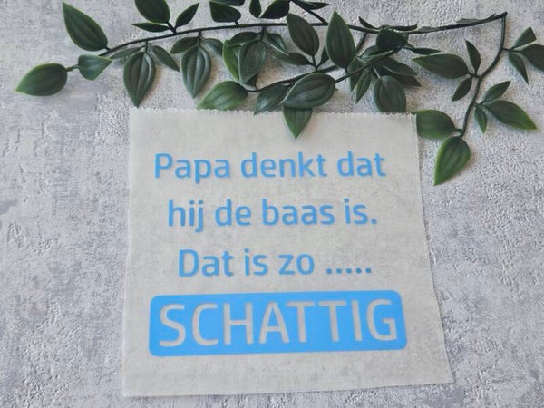 Strijkapplicatie | papa denkt dat hij de baas is