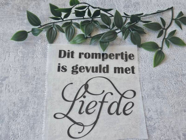 Strijkapplicatie | Dit rompertje is gevuld met liefde